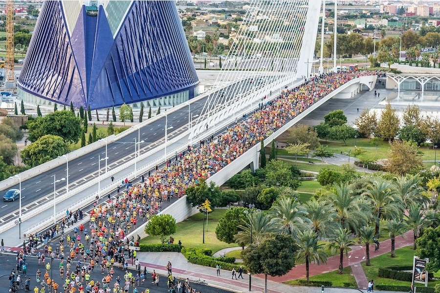 Valencia Half Marathon 27th October 2024